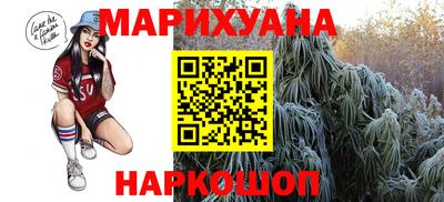 сатива Будённовск