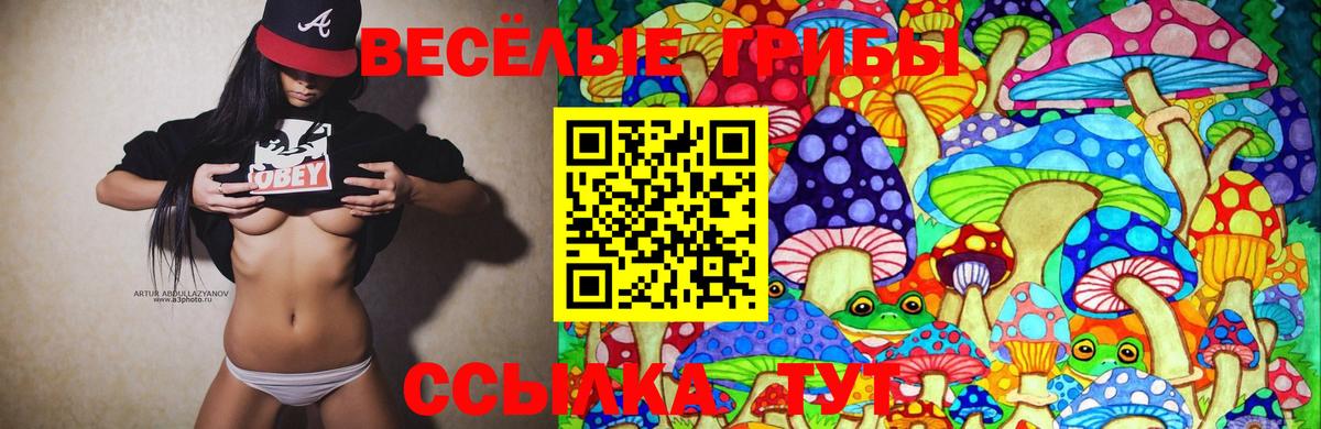 Реж  Галлюциногенные грибы Cubensis  Галлюциногенные грибы мицелий  даркнет сайт  Вход с VPN 